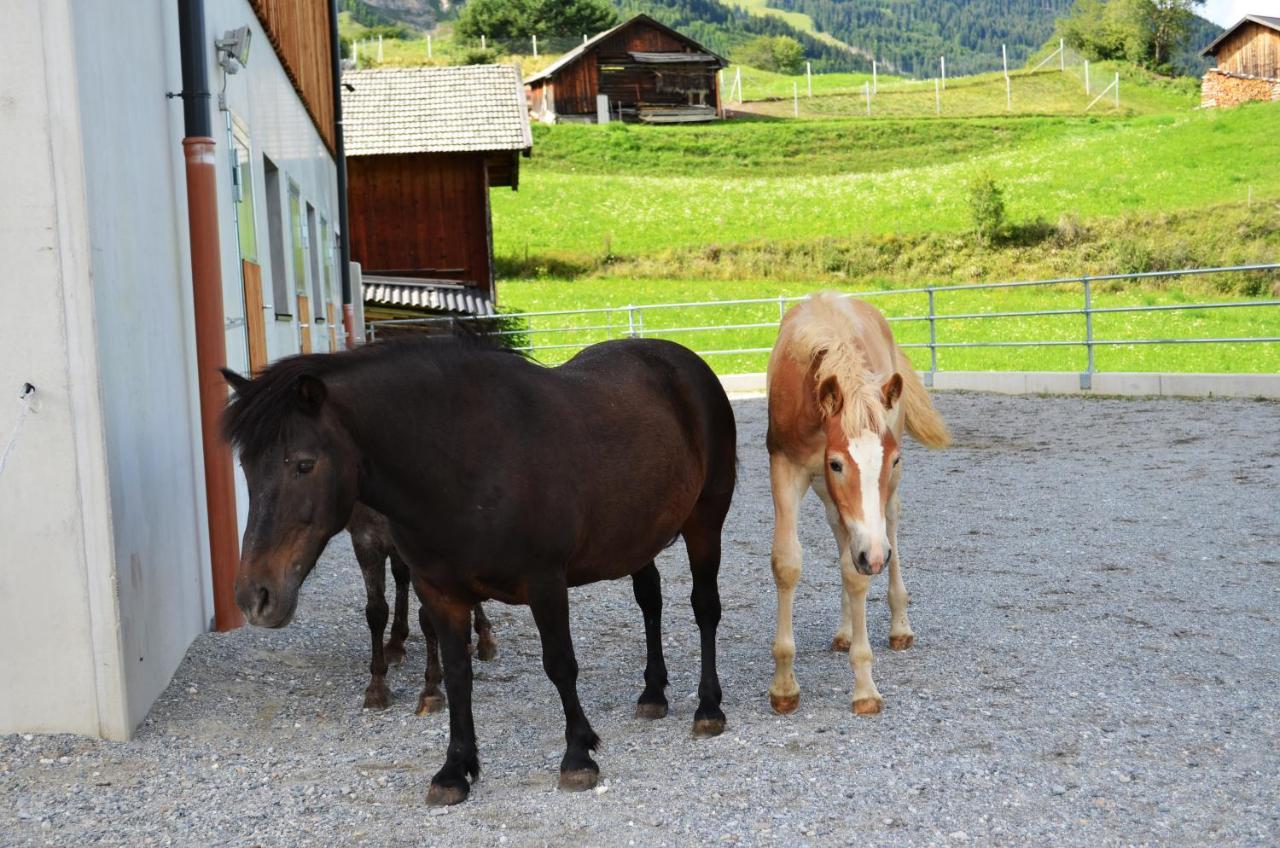 Poltehof Villa ฟิสส์ ภายนอก รูปภาพ